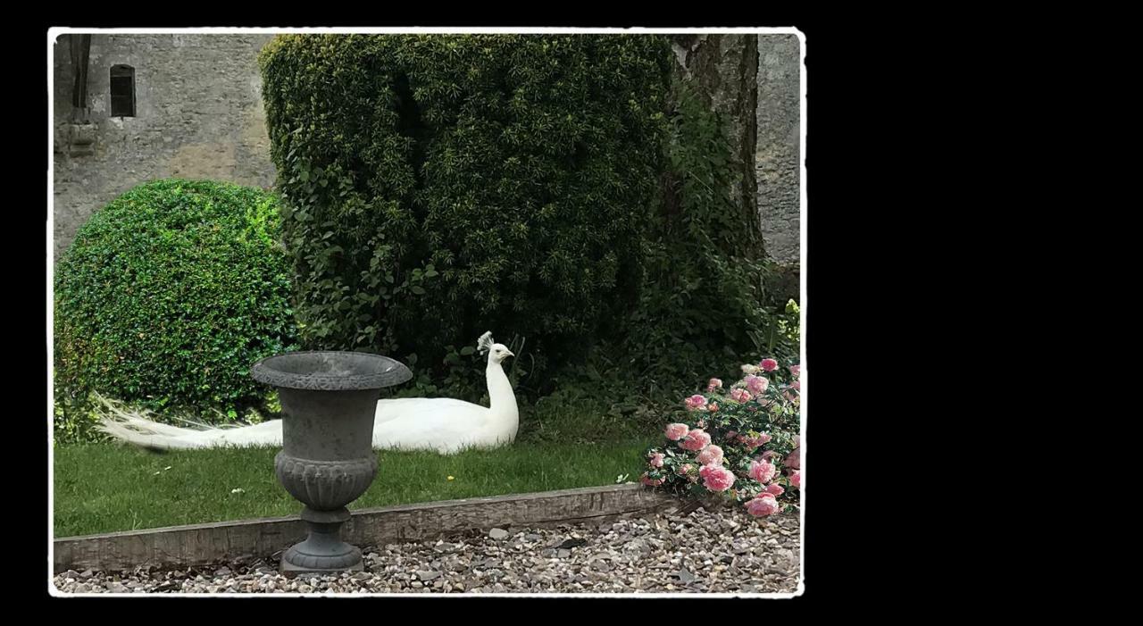 Manoir De Livet Bed & Breakfast Saint-Germain-de-Livet Екстериор снимка
